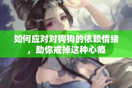 如何应对对狗狗的依赖情绪，助你戒掉这种心瘾
