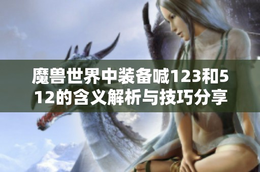魔兽世界中装备喊123和512的含义解析与技巧分享