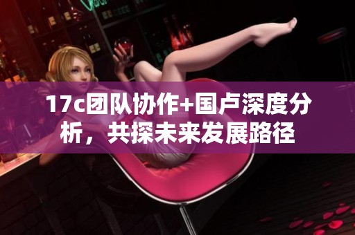 17c团队协作+国卢深度分析，共探未来发展路径