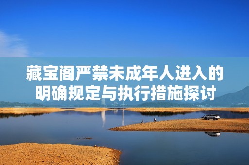 藏宝阁严禁未成年人进入的明确规定与执行措施探讨