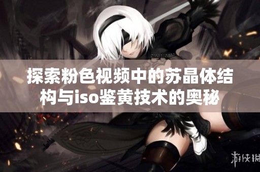 探索粉色视频中的苏晶体结构与iso鉴黄技术的奥秘