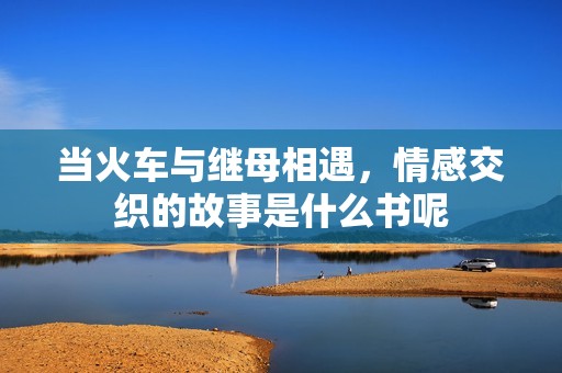 当火车与继母相遇，情感交织的故事是什么书呢