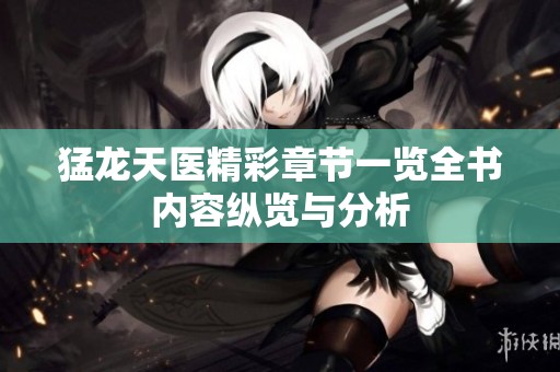 猛龙天医精彩章节一览全书内容纵览与分析