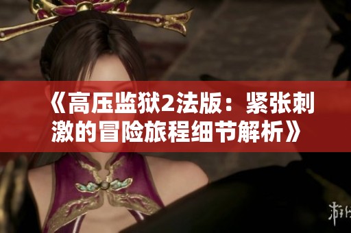 《高压监狱2法版：紧张刺激的冒险旅程细节解析》