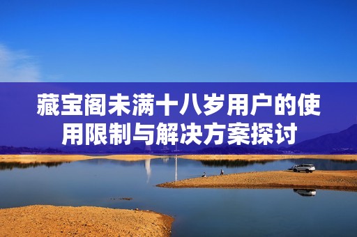 藏宝阁未满十八岁用户的使用限制与解决方案探讨