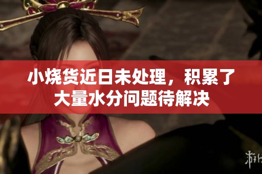 小烧货近日未处理，积累了大量水分问题待解决