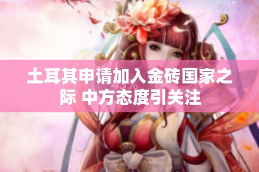土耳其申请加入金砖国家之际 中方态度引关注