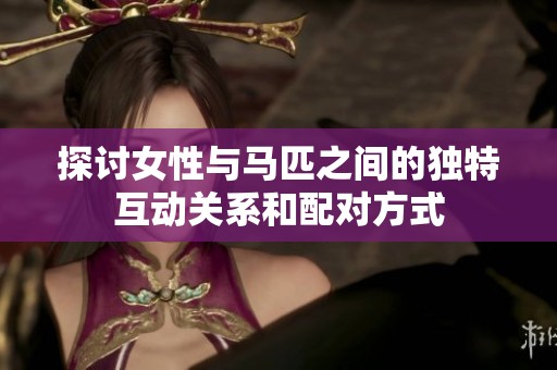 探讨女性与马匹之间的独特互动关系和配对方式