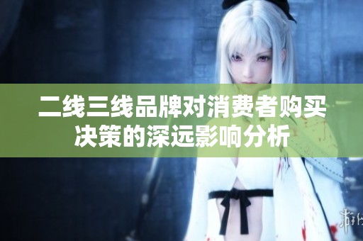 二线三线品牌对消费者购买决策的深远影响分析