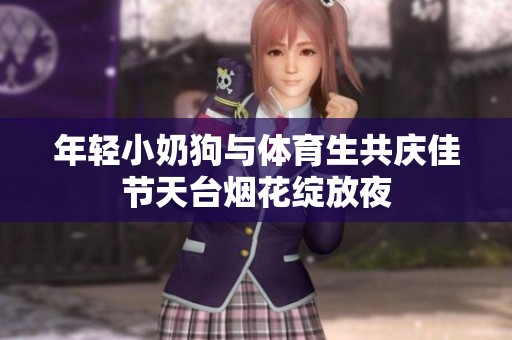 年轻小奶狗与体育生共庆佳节天台烟花绽放夜