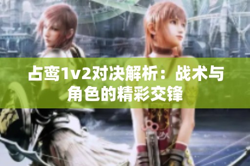 占鸾1v2对决解析：战术与角色的精彩交锋