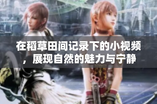 在稻草田间记录下的小视频，展现自然的魅力与宁静