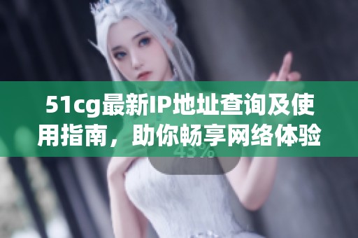 51cg最新IP地址查询及使用指南，助你畅享网络体验