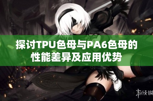 探讨TPU色母与PA6色母的性能差异及应用优势