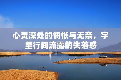 心灵深处的惆怅与无奈，字里行间流露的失落感