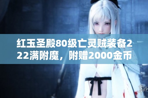 红玉圣殿80级亡灵贼装备222满附魔，附赠2000金币