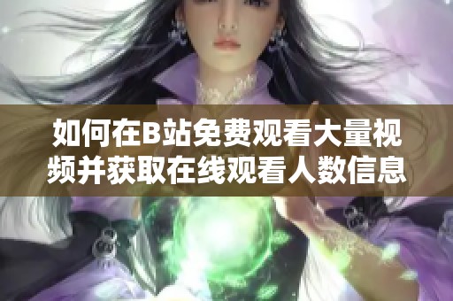 如何在B站免费观看大量视频并获取在线观看人数信息