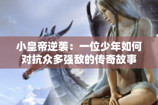 小皇帝逆袭：一位少年如何对抗众多强敌的传奇故事