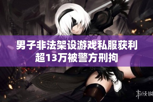 男子非法架设游戏私服获利超13万被警方刑拘
