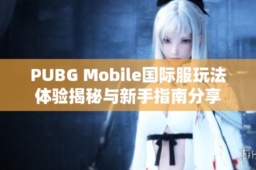 PUBG Mobile国际服玩法体验揭秘与新手指南分享
