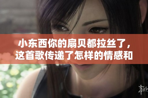 小东西你的扇贝都拉丝了，这首歌传递了怎样的情感和故事