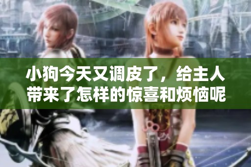 小狗今天又调皮了，给主人带来了怎样的惊喜和烦恼呢