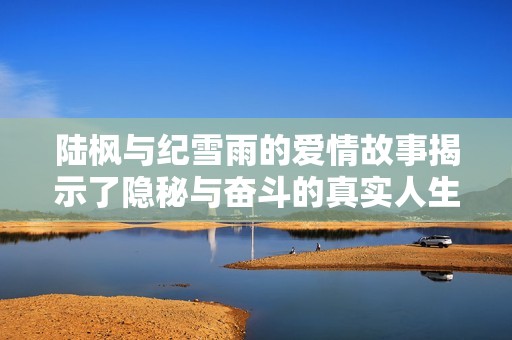 陆枫与纪雪雨的爱情故事揭示了隐秘与奋斗的真实人生