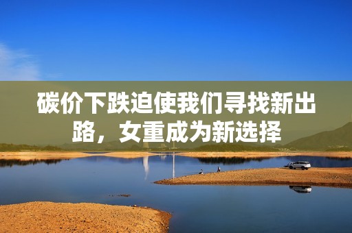 碳价下跌迫使我们寻找新出路，女重成为新选择