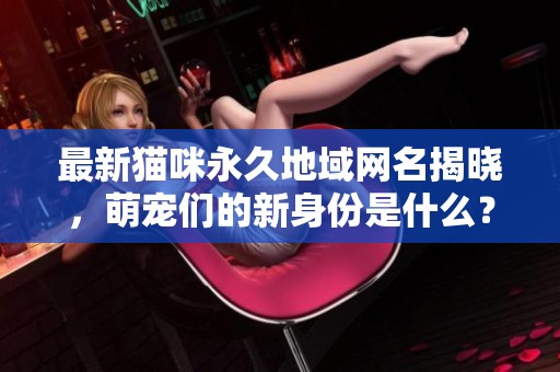 最新猫咪永久地域网名揭晓，萌宠们的新身份是什么？