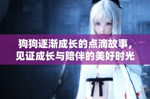 狗狗逐渐成长的点滴故事，见证成长与陪伴的美好时光