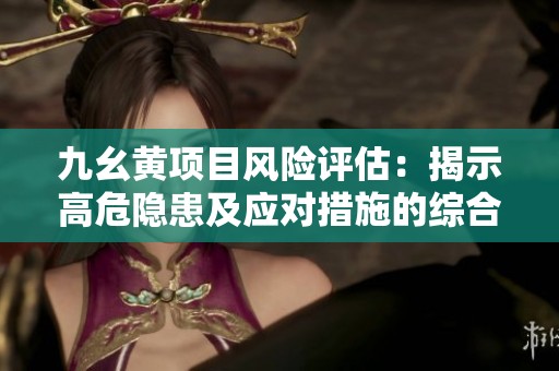 九幺黄项目风险评估：揭示高危隐患及应对措施的综合分析