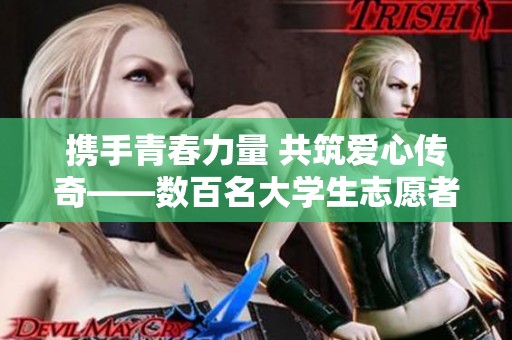 携手青春力量 共筑爱心传奇——数百名大学生志愿者共同参与活动