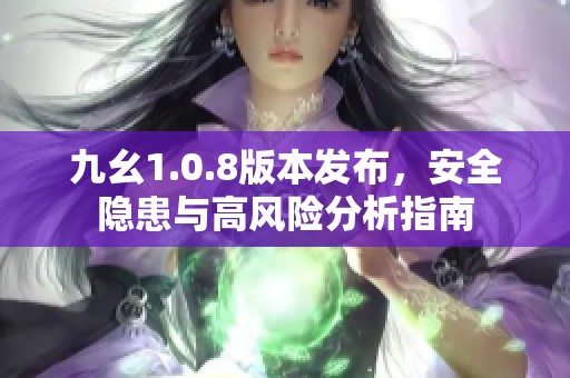 九幺1.0.8版本发布，安全隐患与高风险分析指南