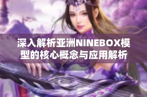 深入解析亚洲NINEBOX模型的核心概念与应用解析