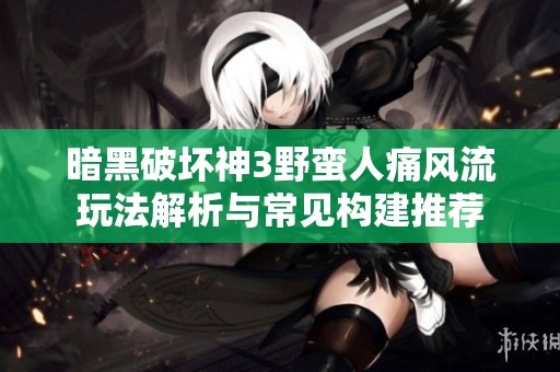 暗黑破坏神3野蛮人痛风流玩法解析与常见构建推荐
