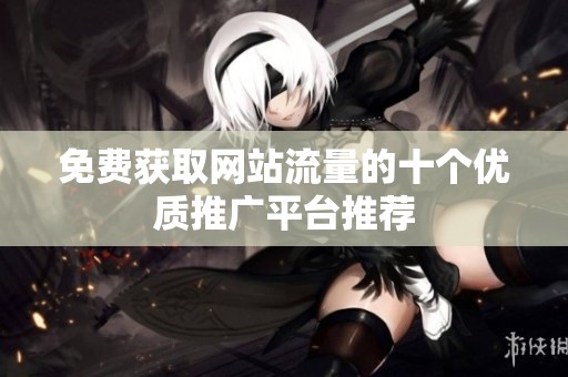 免费获取网站流量的十个优质推广平台推荐