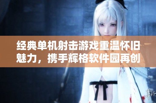 经典单机射击游戏重温怀旧魅力，携手辉格软件园再创辉煌