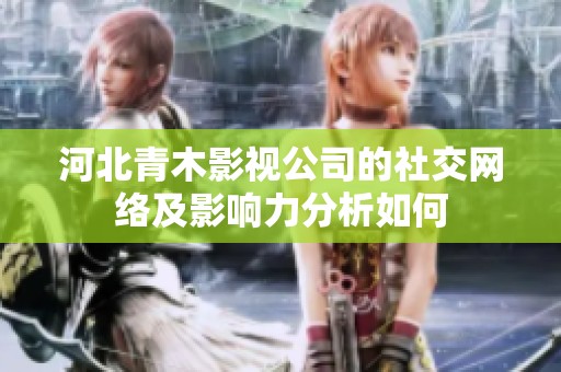 河北青木影视公司的社交网络及影响力分析如何
