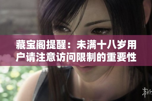 藏宝阁提醒：未满十八岁用户请注意访问限制的重要性