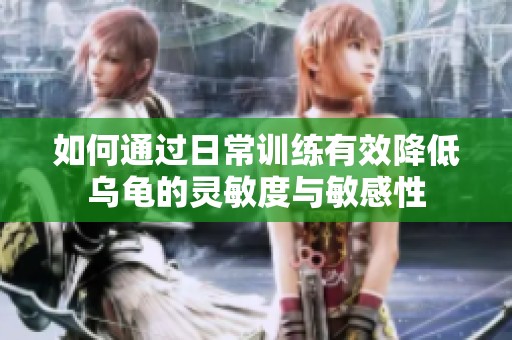 如何通过日常训练有效降低乌龟的灵敏度与敏感性