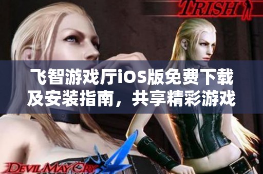 飞智游戏厅iOS版免费下载及安装指南，共享精彩游戏体验