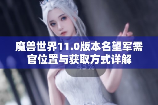 魔兽世界11.0版本名望军需官位置与获取方式详解