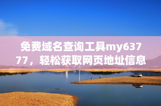 免费域名查询工具my63777，轻松获取网页地址信息