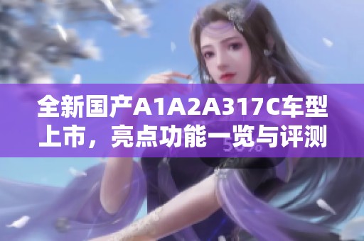 全新国产A1A2A317C车型上市，亮点功能一览与评测