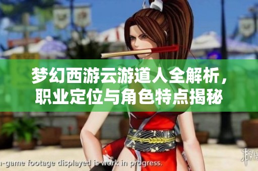 梦幻西游云游道人全解析，职业定位与角色特点揭秘