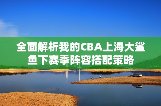全面解析我的CBA上海大鲨鱼下赛季阵容搭配策略