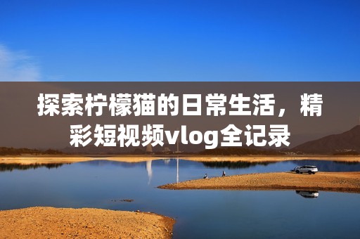 探索柠檬猫的日常生活，精彩短视频vlog全记录