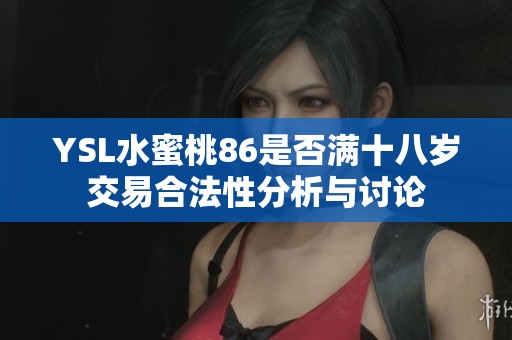 YSL水蜜桃86是否满十八岁交易合法性分析与讨论