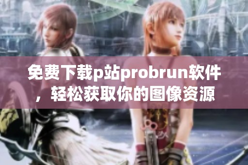 免费下载p站probrun软件，轻松获取你的图像资源