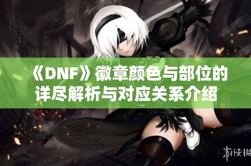《DNF》徽章颜色与部位的详尽解析与对应关系介绍